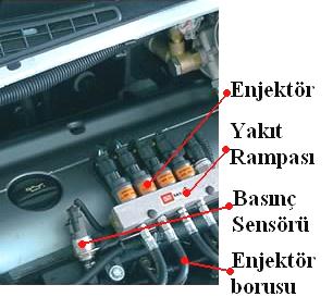 1.6.1.4. LPG Enjektörleri LPG enjektör rampasında bulunan LPG nin emme manifolduna motorun çalışma sırasına göre iletilmesini sağlamaktadır. Silindir sayısı kadar enjektör bulunmaktadır.