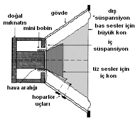 ġekil 2.2: Dinamik hoparlörün yapısı Bobinin sarıldığı diyaframın alt kısmı bir süspansiyon (esnek taģıyıcı) ile gövdeye tutturulmuģtur.