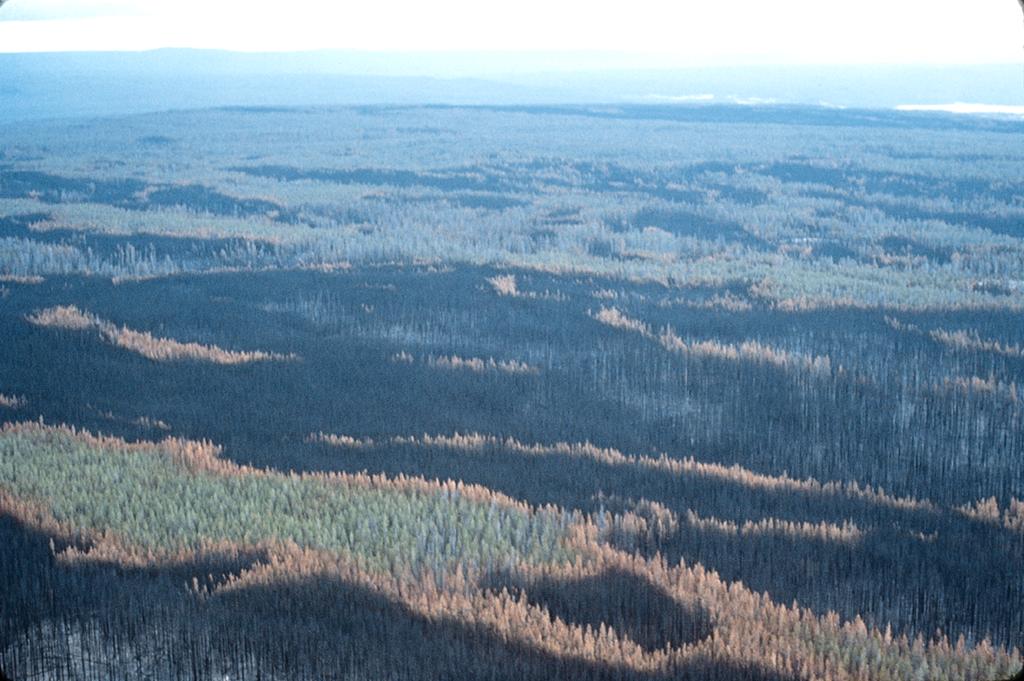 Kanada Alberta Doğal olaylar