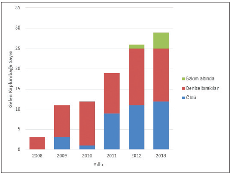 Projenin güzel olduğu ancak başka yerde yapılması önerilmektedir. Tuzlu su taşınabilir veya akvaryum gibi bir düzen kurulabilir. DEKAMER 2009 yılında kurulmuştur.