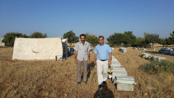 ARICILIKTA ÖRNEK PROJE Şanlıurfa İl Koordinatörlüğü/11 Ağustos 2015 - TKDK nın başarılı yatırımcılarından Erdin Pertav projesinin uygulama sonrası döneminde İl Koordinatörü Dr.