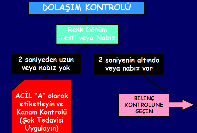 Yaralının solunum sayısı yetişkinde 10 30; çocukta 15-45 arasında ise üçüncü basamakta nabız sayısına bakılır.