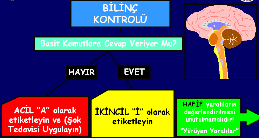 Yaralının radial nabzı alınıyorsa veya KGD 2 saniyenin altında ise dördüncü basamakta yaralının bilinci değerlendirilir.