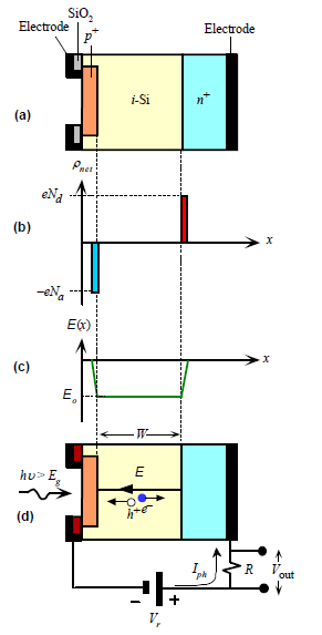 V. Fizik Çalıştayı - 19 Şubat 2015 32 pin Diyot pin diyod yapısı foton absorpsiyonunun i-tabakasında olmasını sağlayacak şekilde tasarlanmıştır. Arınmış bölge daha büyüktür.