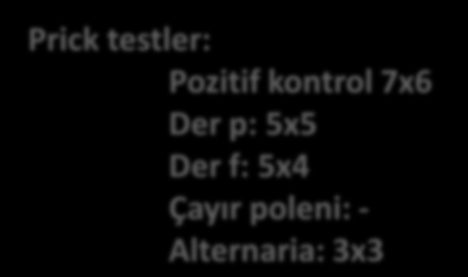 SFT: FVC : %98 FEV1: % 87 FEV1/FVC : %78 FEF25-75: %69 Reverzibilite : %8 / 120 ml Prick testler: Pozitif kontrol 7x6 Der p: