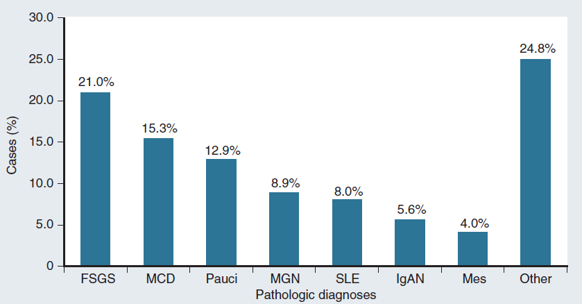 Prevalence of nondiabetic renal disease in diabetic patients Pham TT,