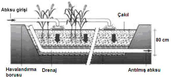 veya çakıl-kamış filtreler olarak da adlandırılır ve köklü bitkiyi desteklemek için kum veya çakıl malzemeli, sızdırmaz tabanlı hendek veya kanallardan meydana gelir (Tchobanoglous ve Burton, 1991).