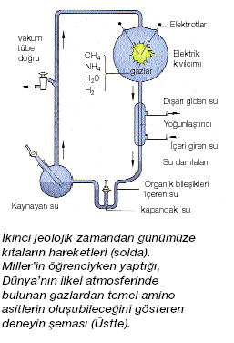 Kararlı yapılar Bir kararlı yapı olarak madde en ilksel doğal seçilim, kararlı yapıların seçilip, kararsızların reddedilmesi elektron-proton-nötron atom elementler moleküller