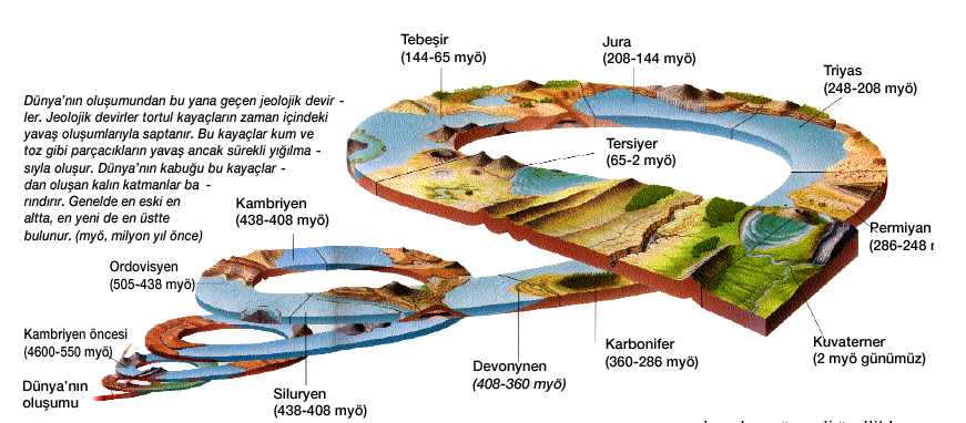 Prokaryotlardan