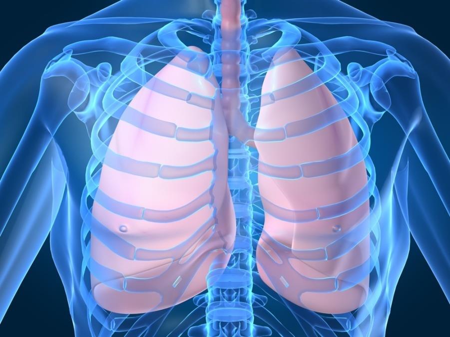 overall survival. Tregs OS, relapse- and recurrence-free survival 12,13 1. Dieu-Nosjean M, et al. J Clin Oncol. 2008;26:4410 4117; 2. Petersen R, et al. Cancer. 2006;107:2866 2872; 3.