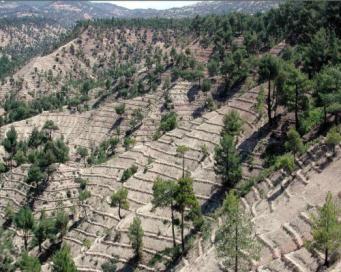 ÇÖLLEġME VE EROZYONLA MÜCADALE GENEL MÜDÜRLÜĞÜ YUKARI HAVZALARDA SEL