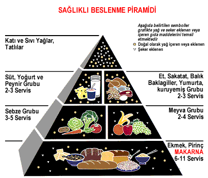 DENGELĠ VE SAĞLIKLI BESLENME NE DEMEKTĠR?