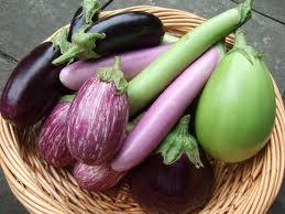 Patlıcanların depolanmalarında 7-10C lik sıcaklıklar tavsiye edilir.