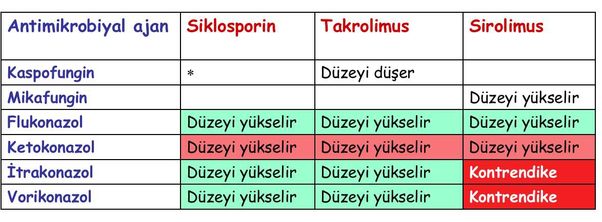 Antifungal İlaç