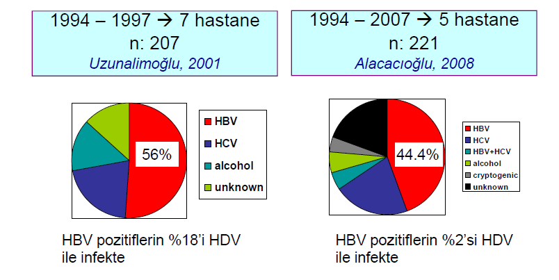 HBV-Hepatoselüler karsinoma