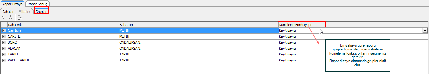 Grup özelliği raporu gruplamaya ve kümülatif şekilde raporu görmeyi sağlar. Sql deki group by gibi düşünülebilir.