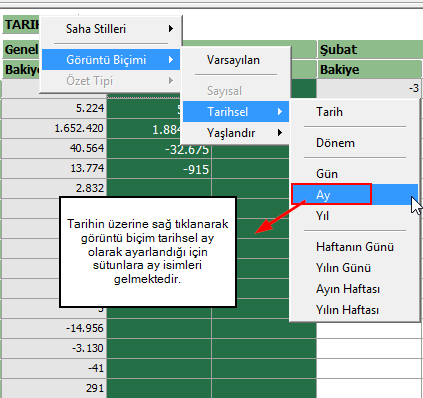 Sütun, veri veya satır alanındaki bir sahaya sağ tıklandığı zaman aşağıdaki pencere gelmektedir.