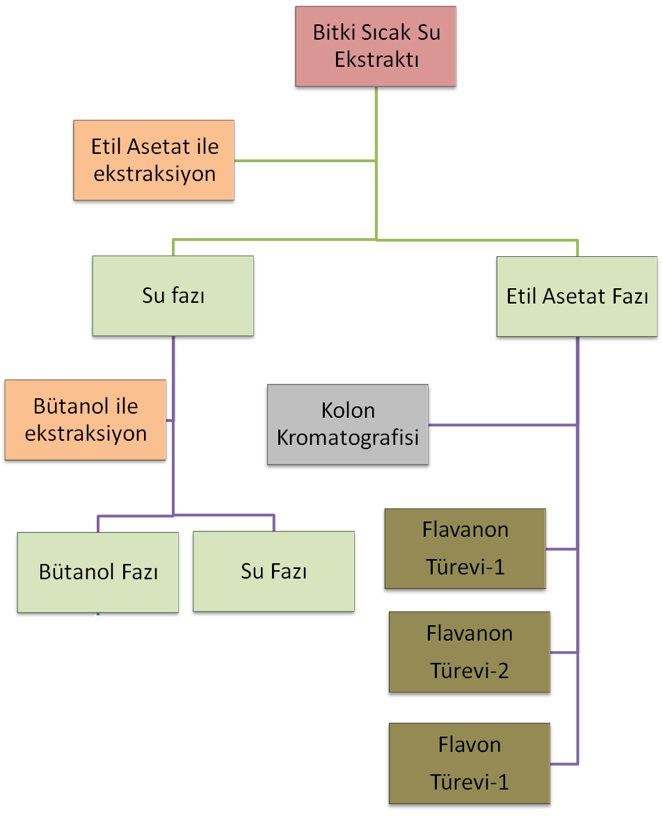 Şekil 3. 1.