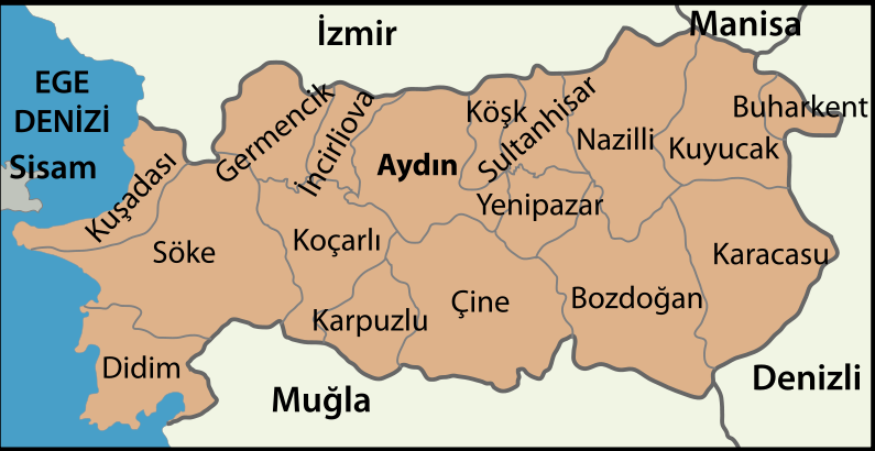 Aydın (il) Aydın, Türkiye'nin Ege Bölgesi'nde bulunan, turizm ve tarım açısından gelişmiş bir ildir. Plaka kodu 09'dur. Aydın Türkiye'nin ilk demiryolu kurulan şehridir.