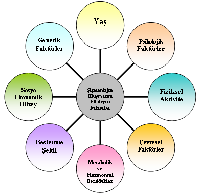 1.34.2. Şişmanlığın Oluşmasını Etkileyen Faktörler Birçok hastalık gibi şişmanlığın oluşmasında da etkili çok sayıda faktör vardır. a) Genetik Faktörler Şekil 1.