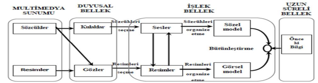 ÇOKLU ORTAM NEDIR? Çoklu ortam öğrenme modeline göre görsel ve işitsel bilgiler birbirinden ayrı ve farklı bilgi işleme kanalları tarafından işlenir.