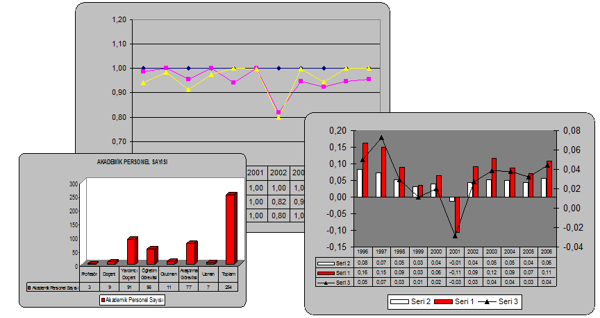 ERZİNCAN ÜNİVERSİTESİ SAĞLIK HİZMETLERİ MESLEK