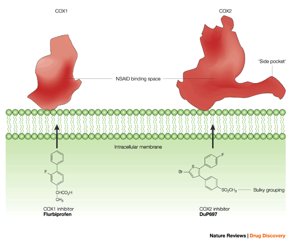 Spesifik COX-2 inhibitörlerinin