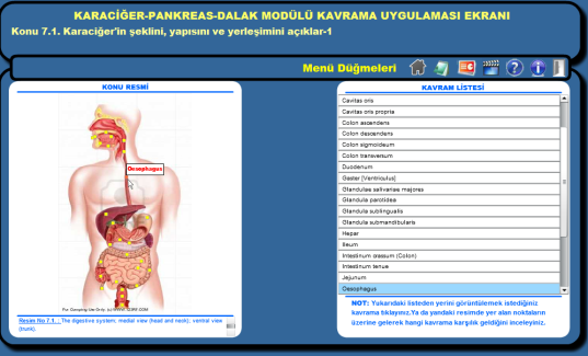 Bu materyallerin yanında bilgisayar tasarım programlarıyla oluşturulan ve Bloom taksonomisinde yer alan öğrenme basamaklarına göre hazırlanan dört farklı etkileşimli animasyon hazırlanmıştır.