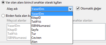 Otomatik değer Hayır olarak kalsın.giriş gerekli Evet olarak ayarlanırsa o alana değer girilmeden diğer alana geçmeye izin vermez. Hayır değeri seçildiğinde ise alan değeri boş olabilir.