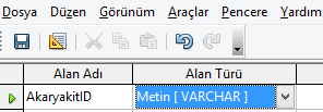 Daha önceden Alan adında yeni bir alan eklemiştik. Yabancı kitabımızın hangi dilde olduğunu yazmak için Alan alanını Dil olarak değiştirelim. Oluştur düğmesine tıklayalım.