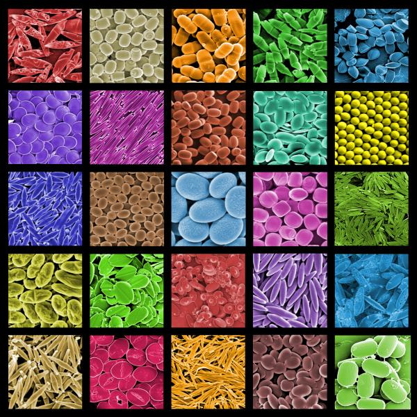 NANO KRİSTAL VE PARTİKÜLLERİN ÜRETİM YÖNTEMLERİ Nano partikül üretiminde kullanılan yaklaşımlar 97 Yaş Kimyasal Yöntemler Buhar Yöntemleri Mekanik Aşındırma- Mekanik Alaşımlama 98 Tanım: Bir boyutu