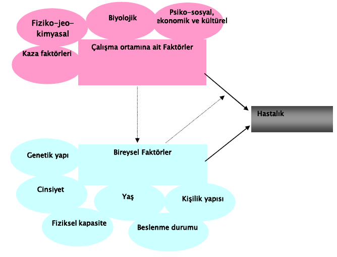 Kişisel ve Psiko-sosyal Riskler Kişisel ve Psiko-sosyal Riskler İş kazası ve meslek hastalığına yol açan etkenler arasında çalışanların kişisel ve psiko-sosyal özellikleri de oldukça önemli bir yer