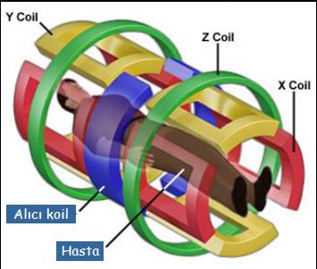 RF Coiller - Gardient Coiller