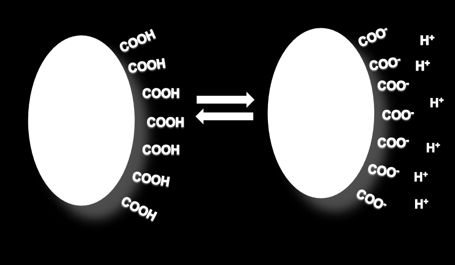 Yüzey Yükü Yüzey gruplarının iyonlaşması o Yüzeydeki asidik grupların ayrışması yüzeyi negatif yüklü yapar.