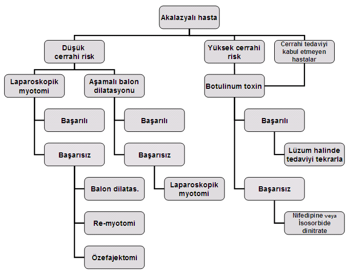 Tablo-4: Akalazyada tedavi algoritmi KAYNAKLAR 1- Richter JE.Achalasia. The Esophagus. 4 th edition. Ed: Castell DO,Richter JE.Philadelphia Lippincott Williams and Wilkins,2004:221-261.