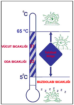 - 28 - GIDA, SU VE BESLENME KONUSUNDA SIK SORULAN SORULAR Dondurucu içindeki sıcak mümkün olduğunda -18 C de sabit tutulmalıdır. Dondurucunun kapağı sık aralıklarla açılmamalıdır.