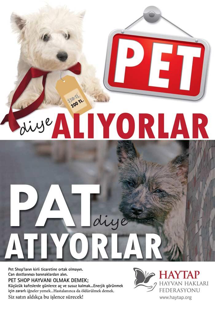 LÜKS semtlerdeki pet shoplar, sattıkları evcil hayvanlar