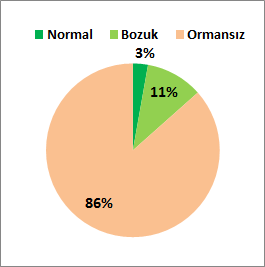 129 km sanat yapısı Erzincan ilinin ormanlık alanı 1.579.360 dekar olup, yüzölçümünün % 13 ü ormanlık alandır. Erzincan ili ormanlarının %21 i normal, %79 u bozuk ormanlardan oluşmaktadır.