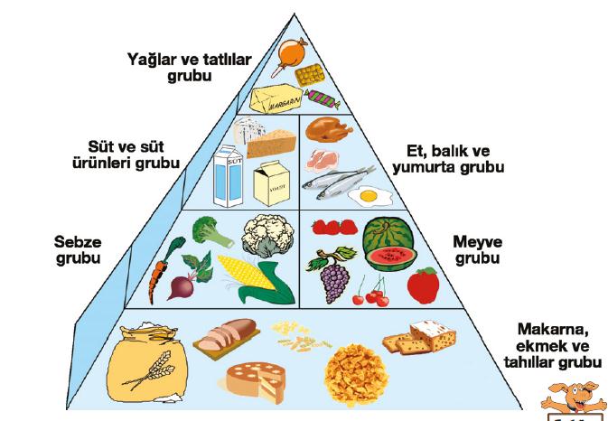 Biüret damlatılınca mavi-mor renk alır. Yağlar ise kâğıda sürülünce kâğıtta şeffaf bir leke bırakır.