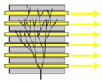 Şekil 27: İç algıcın merkezdeki kesiti (sol) ve genel bakışla nasıl göründüğü (sağ) ve pırıldak katmanı konursa, parçacığın bütün enerjisi soğurulur ve ölçülür.