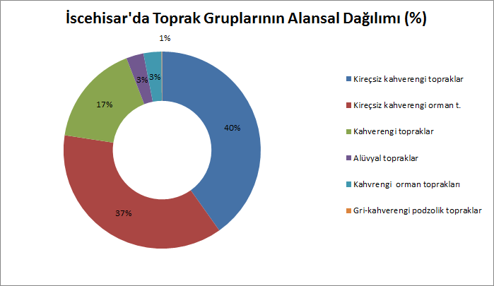 Şekil 4: İscehisar da