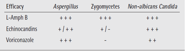 Antifungal