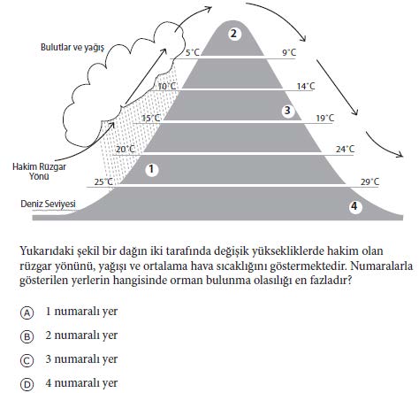 Yanıt: D SORU 12