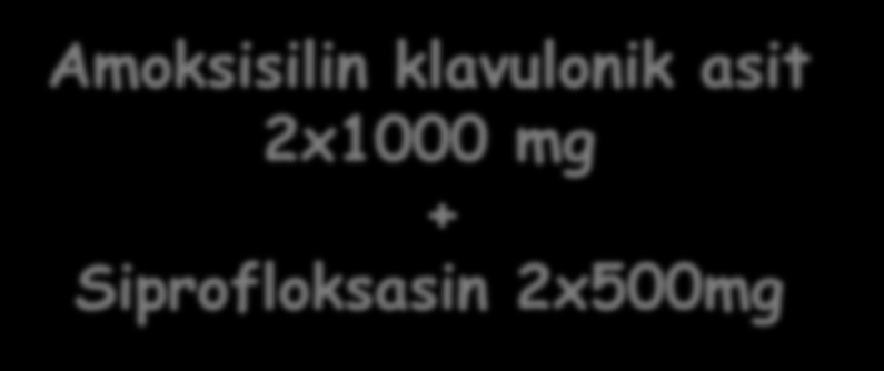 Taburculuk Teikoplanin 63.gün İmipenem 42.