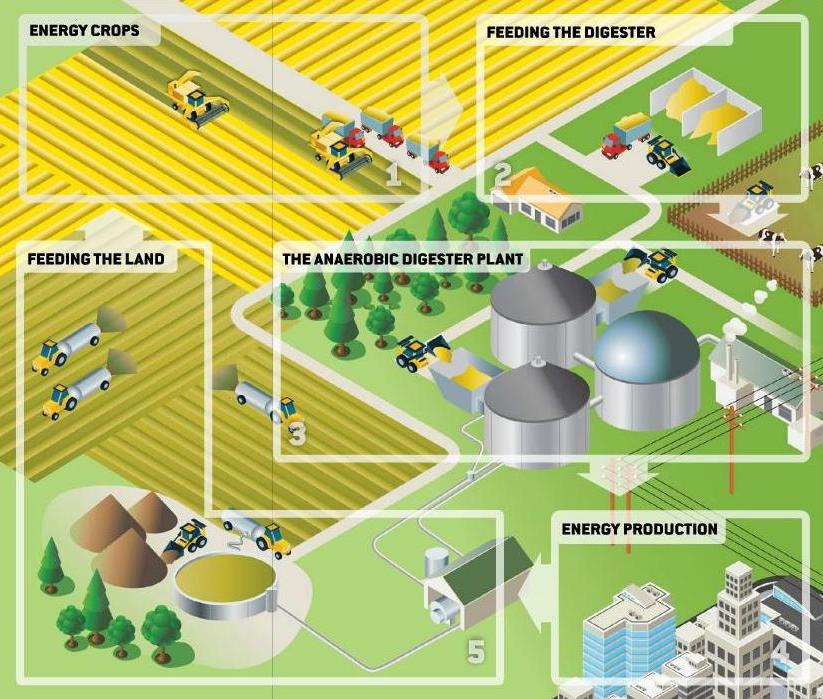 Mevcut Durum Çiftlik Tipi Biyogaz Tesisi + ANIMAL WASTES Avrupa da, hayvan atıkları ve enerji bitkilerinden biyogaz üreten binlerce çiftlik tipi, organik evsel