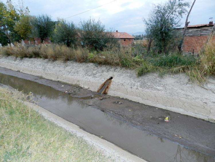 korunur, Koku problemi azaltılır, Patojenler ve yabani bitki