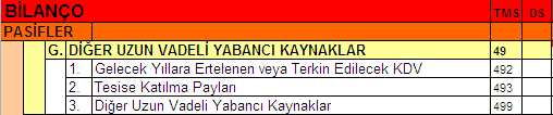 DİĞER UZUN VADELİ YABANCI KAYNAKLAR Özellikle kendi bölümlerinde