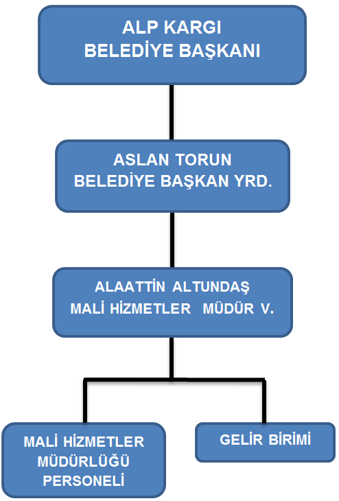 Mali Hizmetler nün Yükümlülükleri Aşağıda Belirtilmiştir: Mali Hizmetler, Belediye Başkanınca verilen ve bu yönetmelikte tarif edilen görevler ile ilgili yasalarda belirtilen görevleri gereken özen