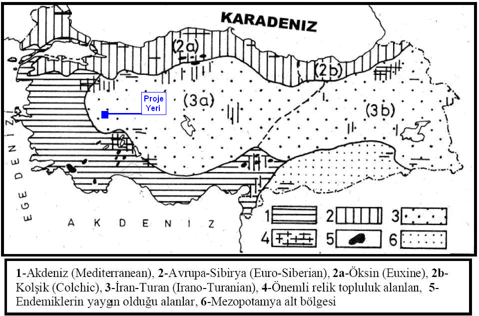 2 Nadir 3 Orta Derecede Bol 4 Bol 5 Çok Bol Proje Alanının Florası: ÇED inceleme alanında gerçekleģtirilen arazi çalıģmaları sonucunda tespit edilen flora elamanlarının büyük çoğunluğu Ġç Anadaolu ve