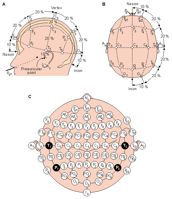 16 FIGURE 2.11 Le système standard international 10-20 utiliser pour l acquisition des donnes, la présentation de stimulus et des application de surveillance du cerveau.